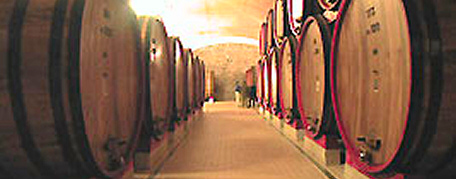 Brunello Castello romitorio riserva 2004 migliore vino rosso al mondo 